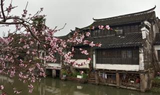 太仓市沙溪高级中学 太仓市沙溪高级中学