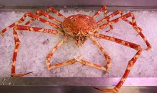 蜘蛛腿挑战 蜘蛛腿挑战