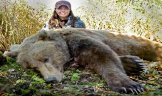 野生动物园熊咬死人