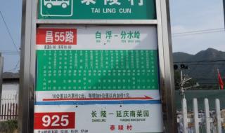 15岁少年坐公交旅行