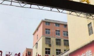 信阳汽车站 信阳汽车站