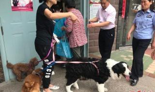 西安宠物寄养 西安宠物寄养