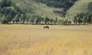 北京清明节去哪里玩