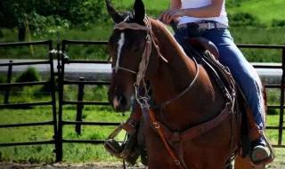 英雄联盟西部牛仔