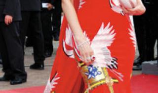 戛纳国际电影节 戛纳国际电影节