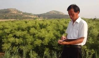 山楂树之恋原型 山楂树之恋原型