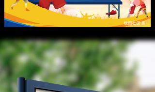 哪个牌子乒乓球最好打 哪个牌子乒乓球最好打